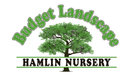 Budget Landscapes Hamlin Nursery 